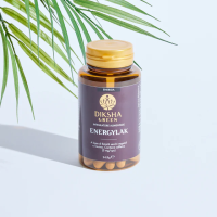 energylak