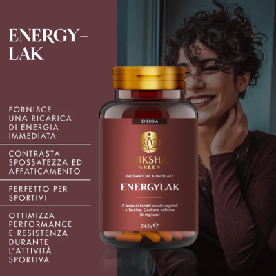 energylak1
