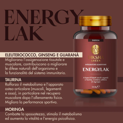 energylak2